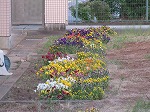 R80518joso9.jpg