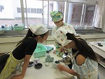R80521ochaire13.jpg