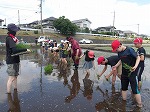 R80525taue12.jpg
