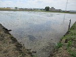 R80525taue14.jpg