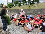 R80525taue4.jpg