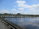 R80525taue6.jpg