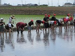 R80525taue8.jpg
