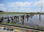 R80525taue9.jpg