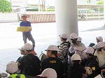 R80528mikamo1.jpg