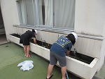 R80602poolseiso6.jpg