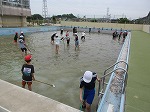 R80602poolseiso7.jpg
