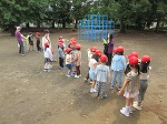 R80612koala2.jpg