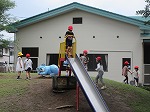 R80612koala7.jpg