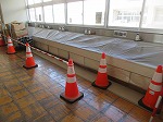 R80831zenjitu2.jpg