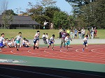R81007rikujo1.jpg