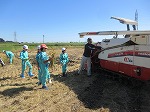 R81008inekari3.jpg