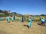 R81008inekari7.jpg