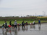 R70526taue10.jpg