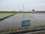 R70526taue15.jpg