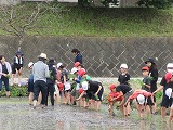 R70526taue5.jpg