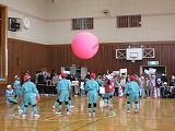 R80127kinball11.jpg