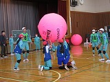 R80129kinball4.jpg