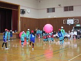 R80129kinball6.jpg