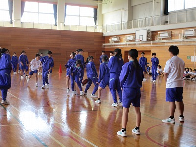 �O�V�v�c�b