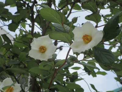 08�Ē�