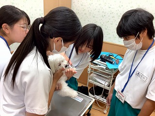 R7syokuba9.jpg